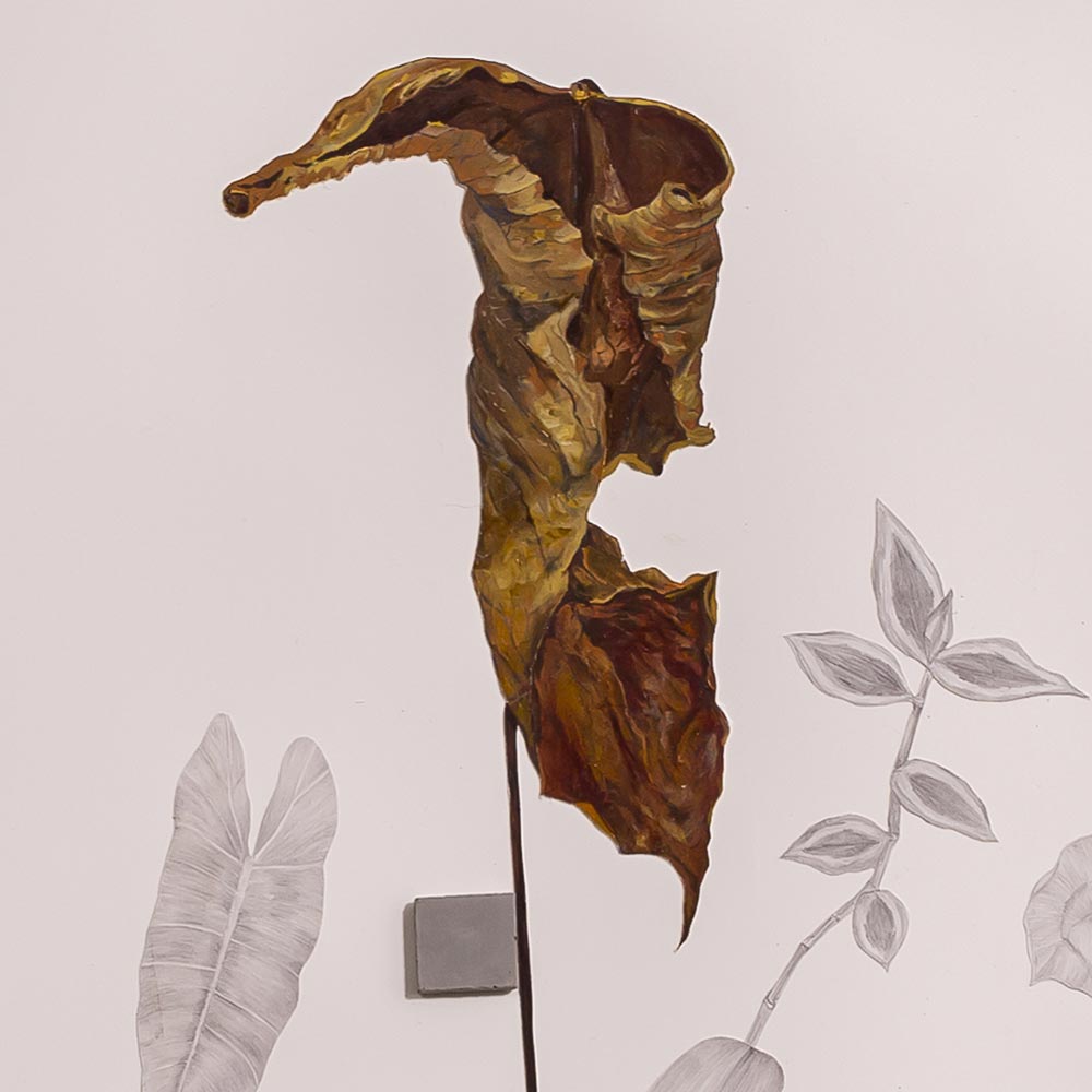 Adriana Vignoli Série Orto Para Uma Bio Escultura Casa Bari